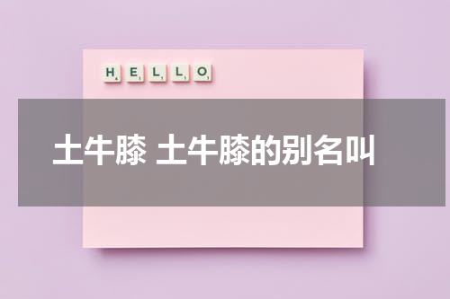土牛膝 土牛膝的别名叫
