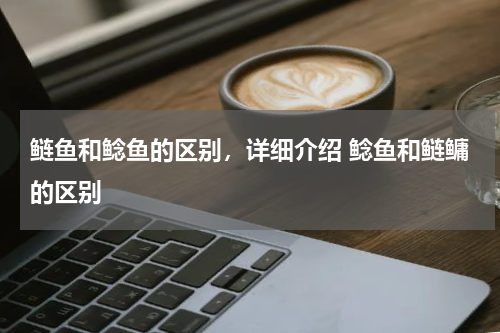 鲢鱼和鲶鱼的区别，详细介绍 鲶鱼和鲢鳙的区别