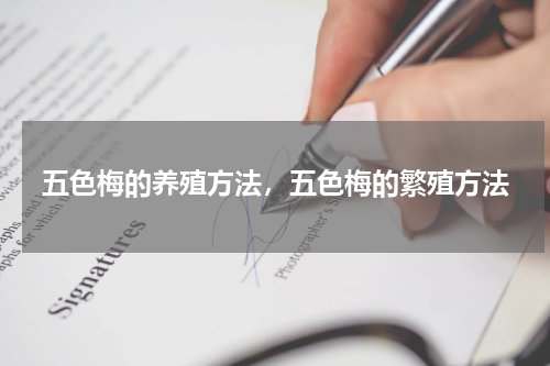 五色梅的养殖方法，五色梅的繁殖方法