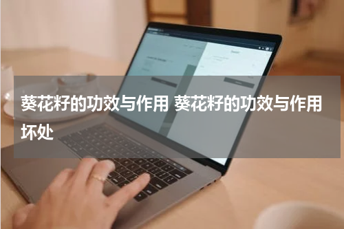 葵花籽的功效与作用 葵花籽的功效与作用坏处