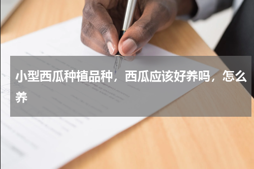 小型西瓜种植品种，西瓜应该好养吗，怎么养