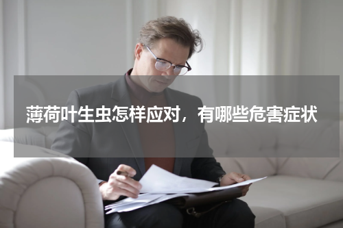 薄荷叶生虫怎样应对，有哪些危害症状