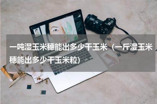 一吨湿玉米穗能出多少干玉米（一斤湿玉米穗能出多少干玉米粒）