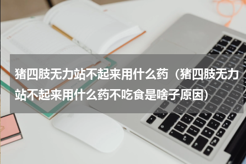 猪四肢无力站不起来用什么药（猪四肢无力站不起来用什么药不吃食是啥子原因）