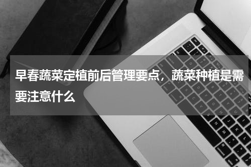 早春蔬菜定植前后管理要点，蔬菜种植是需要注意什么
