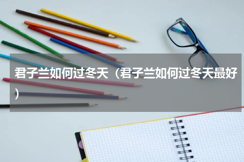 君子兰如何过冬天（君子兰如何过冬天最好）