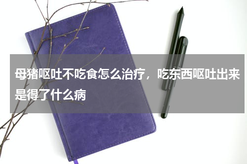 母猪呕吐不吃食怎么治疗，吃东西呕吐出来是得了什么病