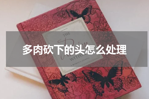 多肉砍下的头怎么处理