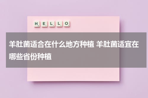 羊肚菌适合在什么地方种植 羊肚菌适宜在哪些省份种植