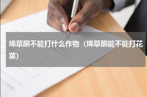 烯草酮不能打什么作物（烯草酮能不能打花菜）