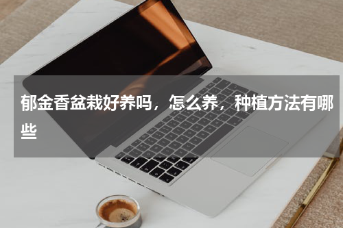 郁金香盆栽好养吗，怎么养，种植方法有哪些