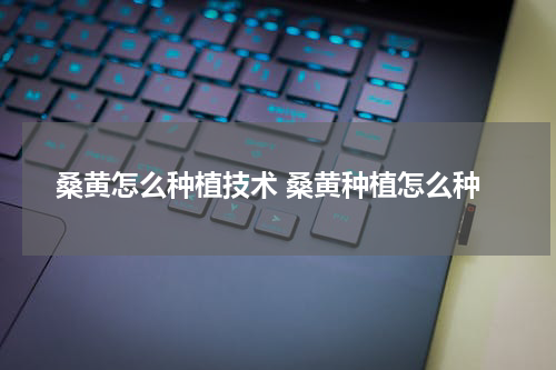 桑黄怎么种植技术 桑黄种植怎么种