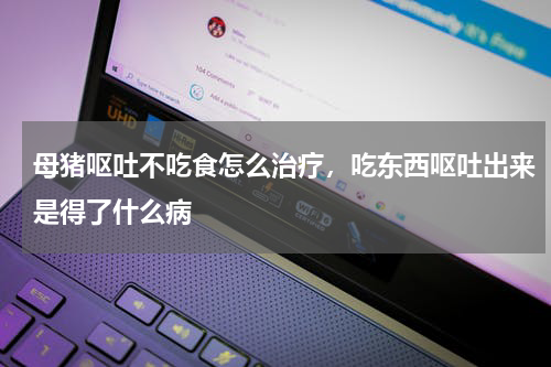 母猪呕吐不吃食怎么治疗，吃东西呕吐出来是得了什么病
