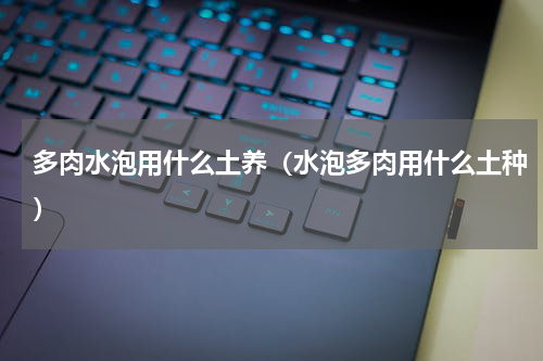 多肉水泡用什么土养（水泡多肉用什么土种）
