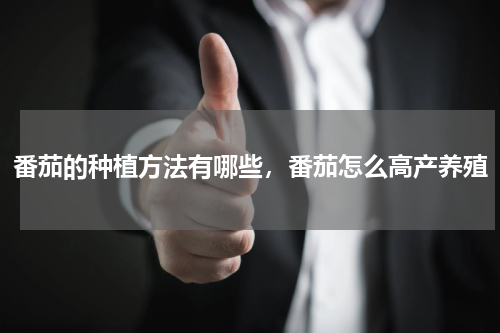 番茄的种植方法有哪些，番茄怎么高产养殖