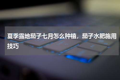 夏季露地茄子七月怎么种植，茄子水肥施用技巧