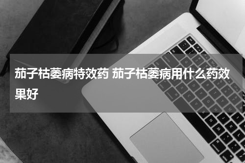 茄子枯萎病特效药 茄子枯萎病用什么药效果好
