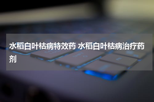 水稻白叶枯病特效药 水稻白叶枯病治疗药剂