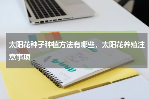 太阳花种子种植方法有哪些，太阳花养殖注意事项