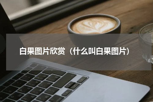 白果图片欣赏（什么叫白果图片）