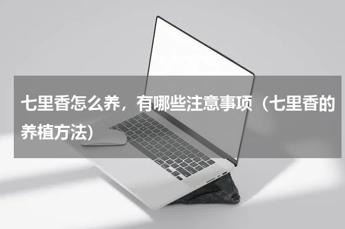 七里香怎么养，有哪些注意事项（七里香的养植方法）
