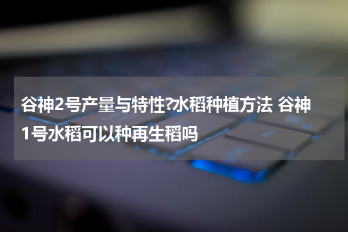 谷神2号产量与特性?水稻种植方法 谷神1号水稻可以种再生稻吗
