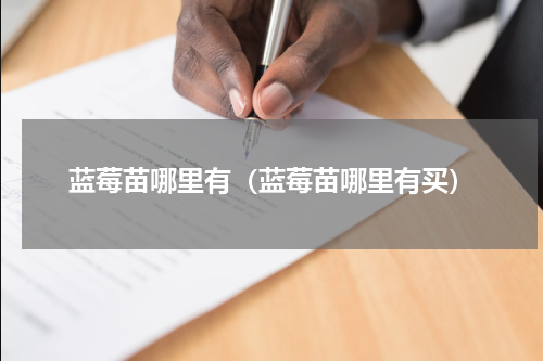 蓝莓苗哪里有（蓝莓苗哪里有买）