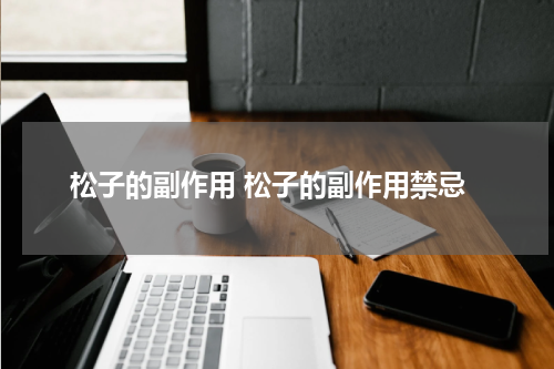 松子的副作用 松子的副作用禁忌