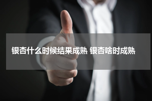银杏什么时候结果成熟 银杏啥时成熟