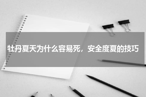 牡丹夏天为什么容易死，安全度夏的技巧