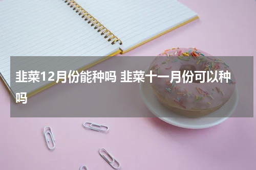 韭菜12月份能种吗 韭菜十一月份可以种吗