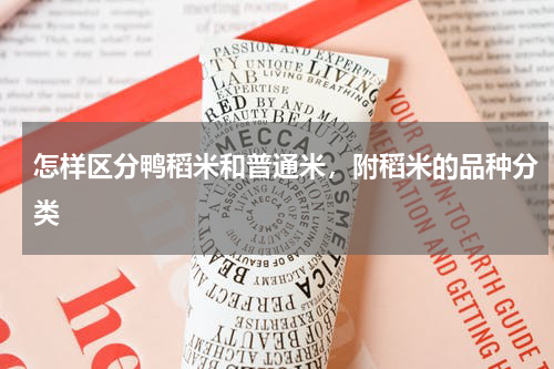 怎样区分鸭稻米和普通米，附稻米的品种分类