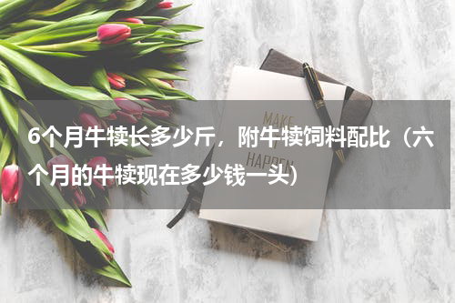 6个月牛犊长多少斤，附牛犊饲料配比（六个月的牛犊现在多少钱一头）