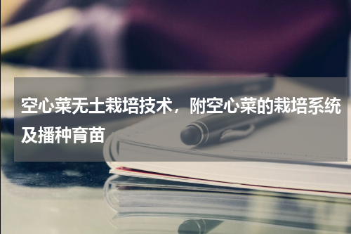 空心菜无土栽培技术，附空心菜的栽培系统及播种育苗