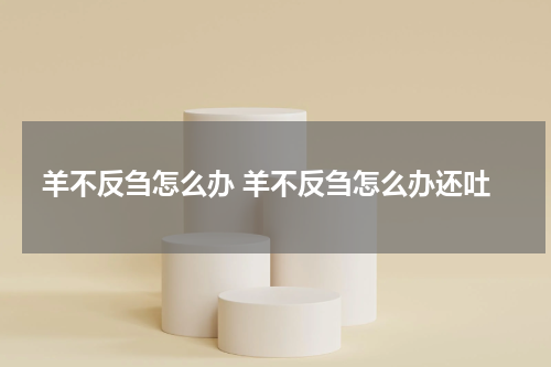 羊不反刍怎么办 羊不反刍怎么办还吐