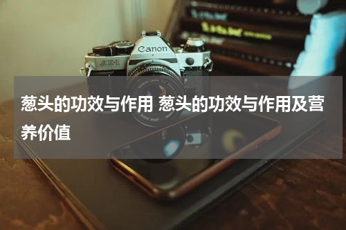 葱头的功效与作用 葱头的功效与作用及营养价值