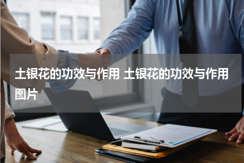 土银花的功效与作用 土银花的功效与作用图片