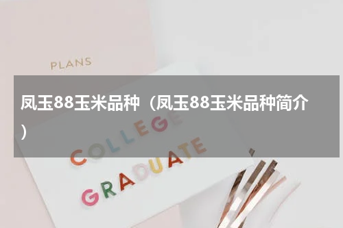 凤玉88玉米品种（凤玉88玉米品种简介）