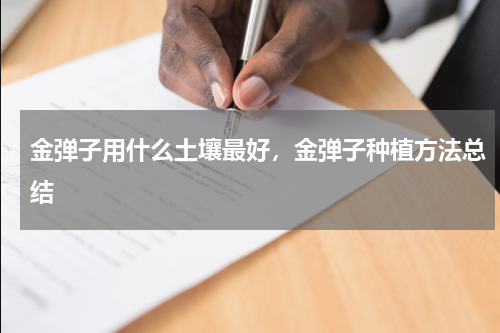 金弹子用什么土壤最好，金弹子种植方法总结