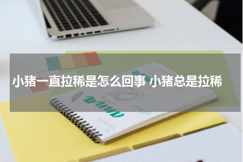 小猪一直拉稀是怎么回事 小猪总是拉稀