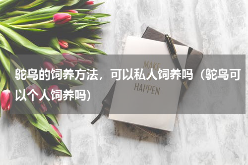 鸵鸟的饲养方法，可以私人饲养吗（鸵鸟可以个人饲养吗）
