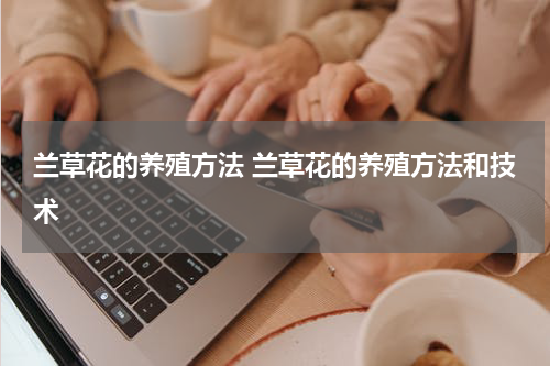 兰草花的养殖方法 兰草花的养殖方法和技术