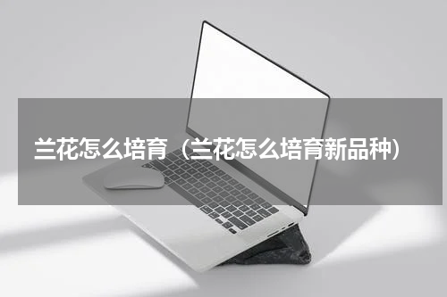 兰花怎么培育（兰花怎么培育新品种）