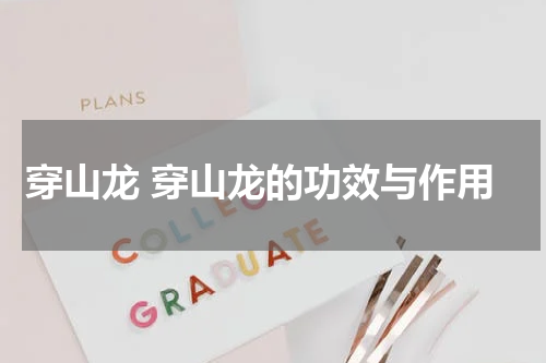 穿山龙 穿山龙的功效与作用