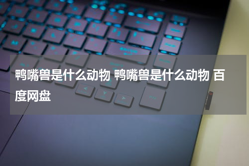 鸭嘴兽是什么动物 鸭嘴兽是什么动物 百度网盘