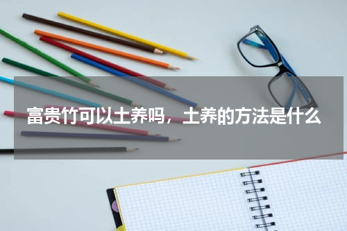 富贵竹可以土养吗，土养的方法是什么