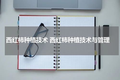 西红柿种植技术 西红柿种植技术与管理