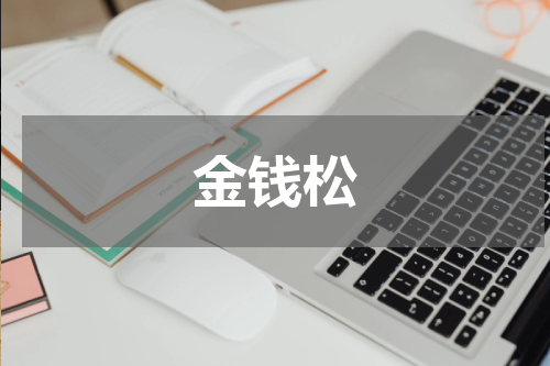金钱松