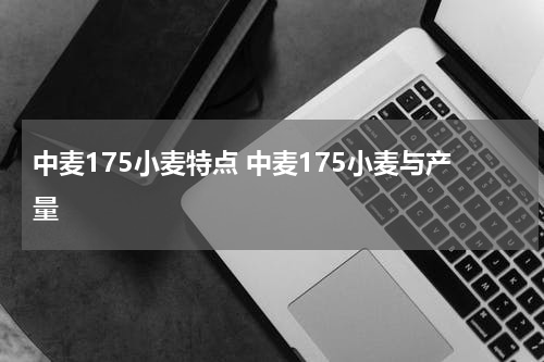 中麦175小麦特点 中麦175小麦与产量