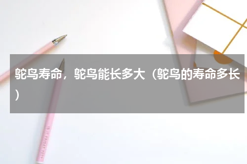 鸵鸟寿命，鸵鸟能长多大（鸵鸟的寿命多长）